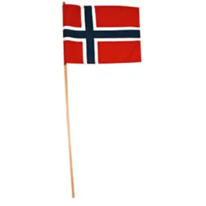 Flagg: Norsk Flagg - 20 x 28 cm