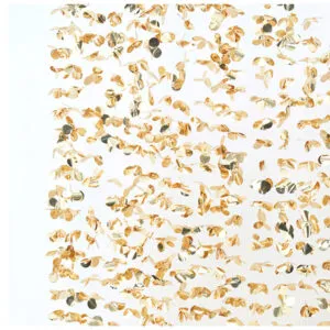 Backdrop / Tassel: Gull - 2 x 1,8m