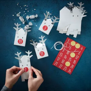 Adventskalender: Reinsdyr - Fyll din egen kalender