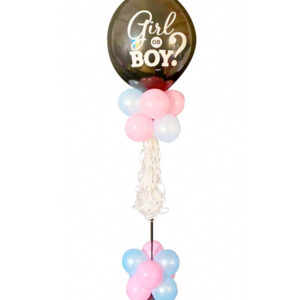 Splittsøyle: Girl or Boy?