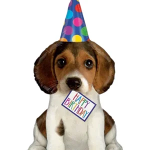 Folieballong: "Happy Birthday" - Hund med festhatt - 104cm