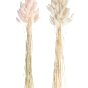 Bordpynt: Bunnytail - Flere farger - 65cm